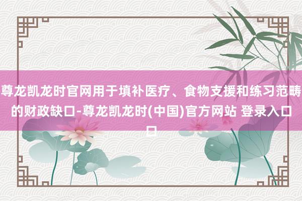 尊龙凯龙时官网用于填补医疗、食物支援和练习范畴的财政缺口-尊龙凯龙时(中国)官方网站 登录入口